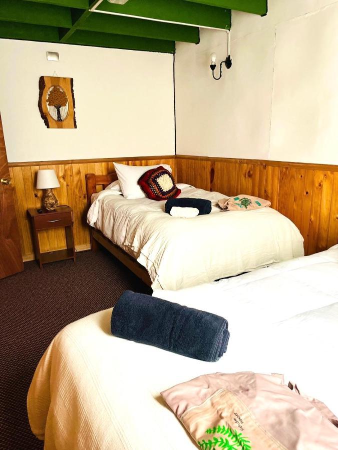 Profe Nelson Hostel Puerto Cisnes Εξωτερικό φωτογραφία